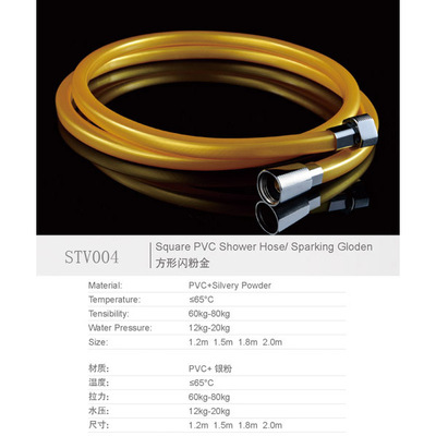 STV004